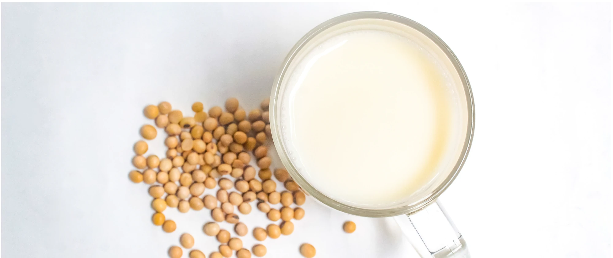 fettverbrennungsteigern