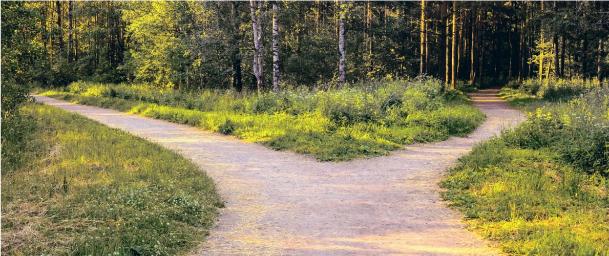 fettverbrennungsteigern